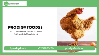 Top 10 Animal Feed Manufacturers & Suppliers in India