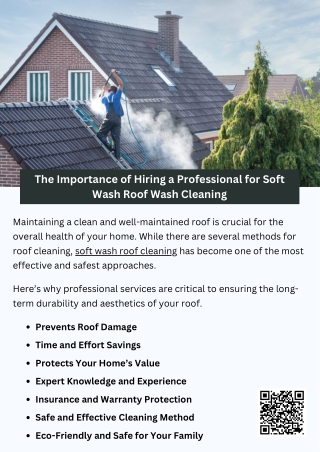 The Importance of Hiring a Professional for Soft Wash Roof Wash Cleaning