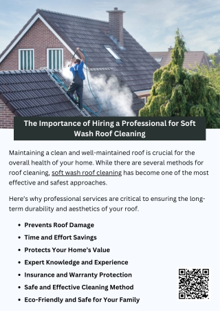 The Importance of Hiring a Professional for Soft Wash Roof Cleaning