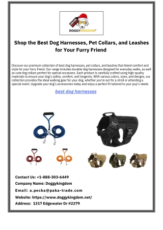 Shop the Best Dog Harnesses, Pet Collars, and Leashes for Your Furry Friend