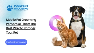 Mobile Pet Grooming Pembroke Pines: The Best Way to Pamper Your Pet