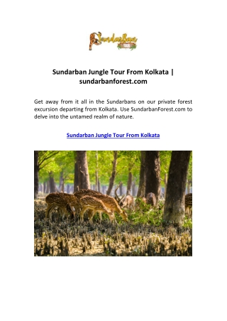 Sundarban Jungle Tour From Kolkata | sundarbanforest.com