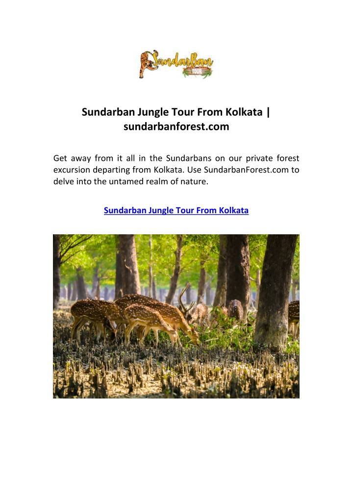 sundarban jungle tour from kolkata