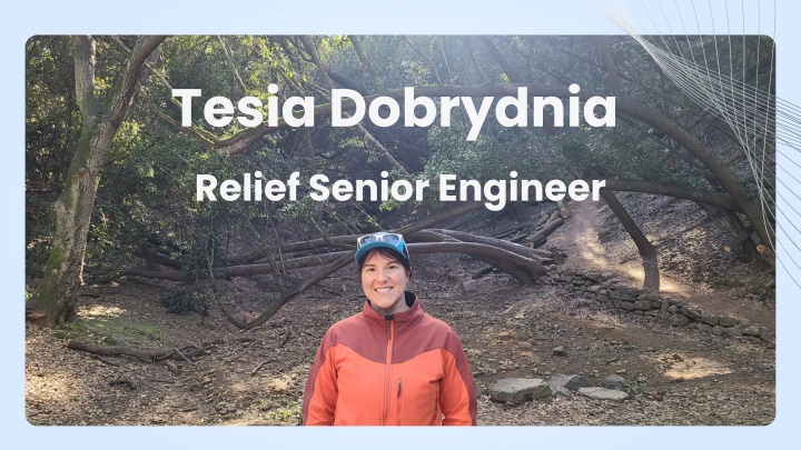 tesia dobrydnia relief senior engineer