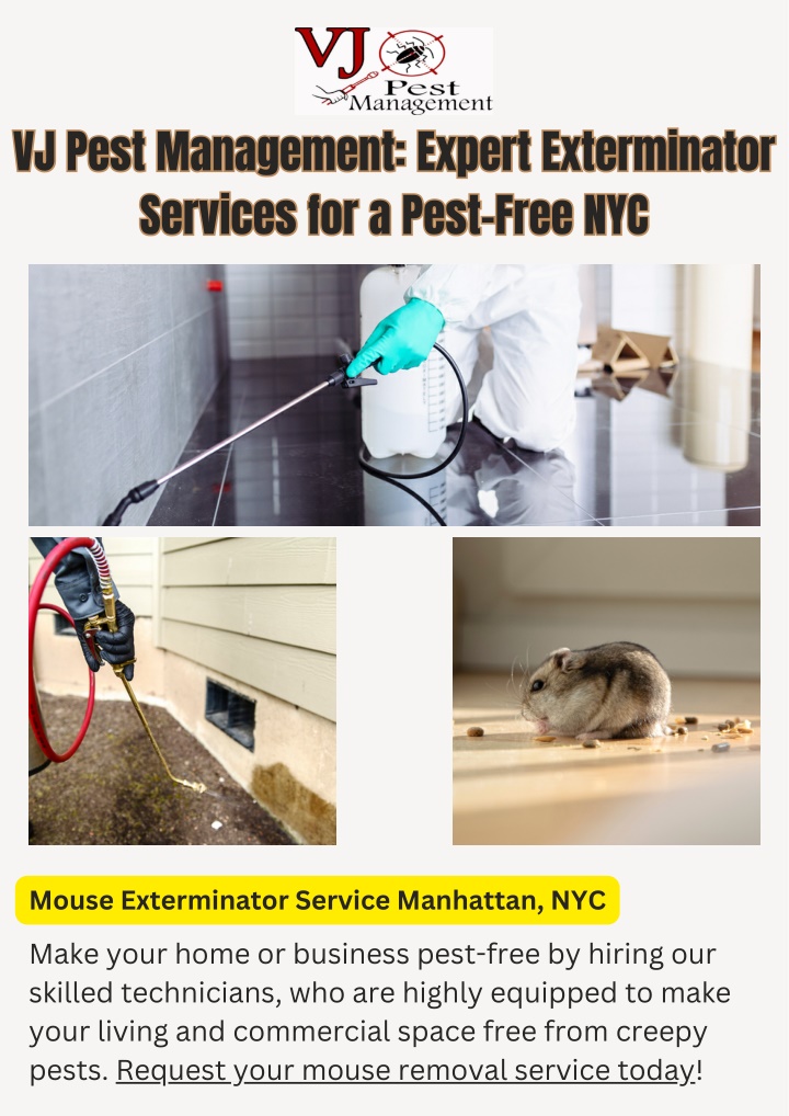 vj pest management expert exterminator services