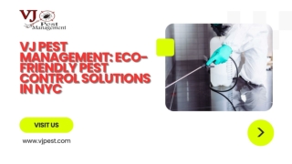 VJ Pest Management Eco-Friendly Pest Control Solutions in NYC