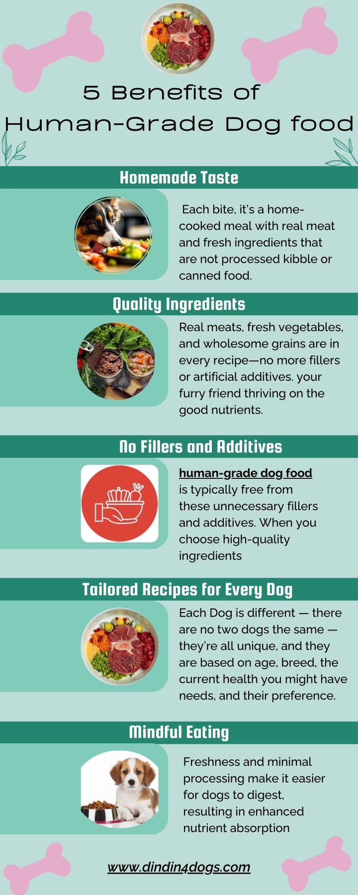 5 benefits of human grade dog food