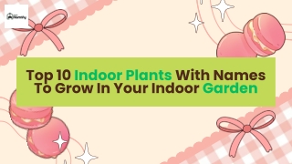 Top 10 Indoor Plants With Names To Grow In Your Indoor Garden