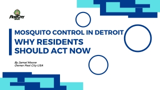 Mosquito Control in Detroit  Why Residents Should Act Now