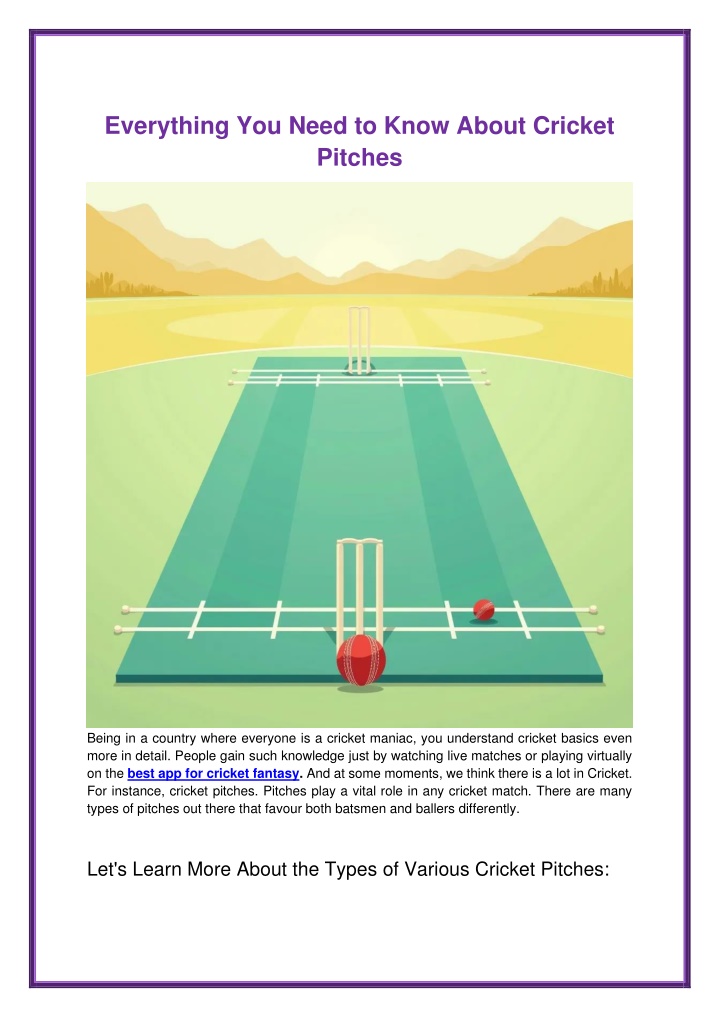 everything you need to know about cricket pitches