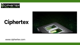 Portable Network Storage - Secure and Flexible Data Access Anywhere