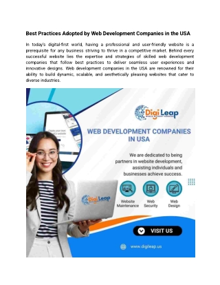 Best Practices Adopted by Web Development Companies in the USA