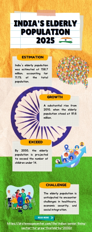 India's Elderly Population 2025 Infographics