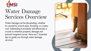 Water Damage Services Overview