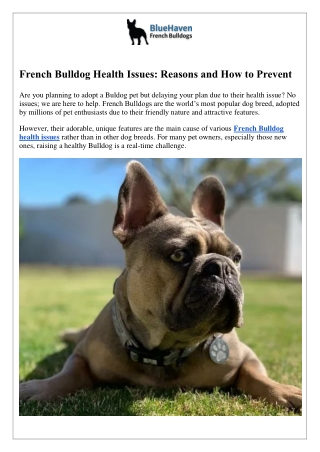 French Bulldog Health Issues: Reasons and How to Prevent