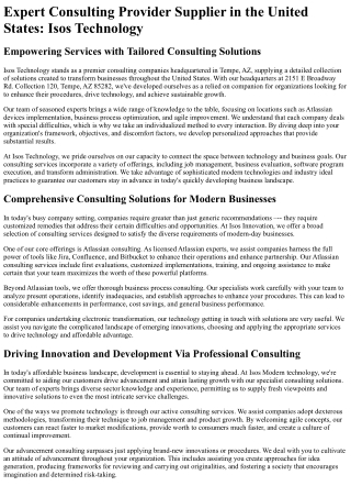 expert consulting provider supplier in the united