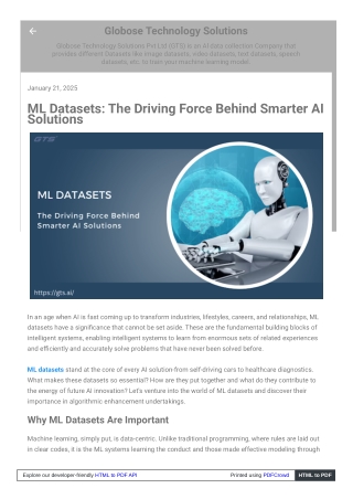 ML Datasets, The Driving Force Behind Smarter AI Solutions