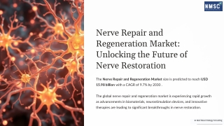 Nerve Repair and Regeneration Market Analysis