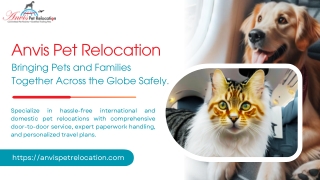 Pet Transportation Services for Stress-Free Relocations