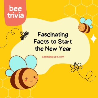 Bee Trivia Fascinating Facts to Start the New Year