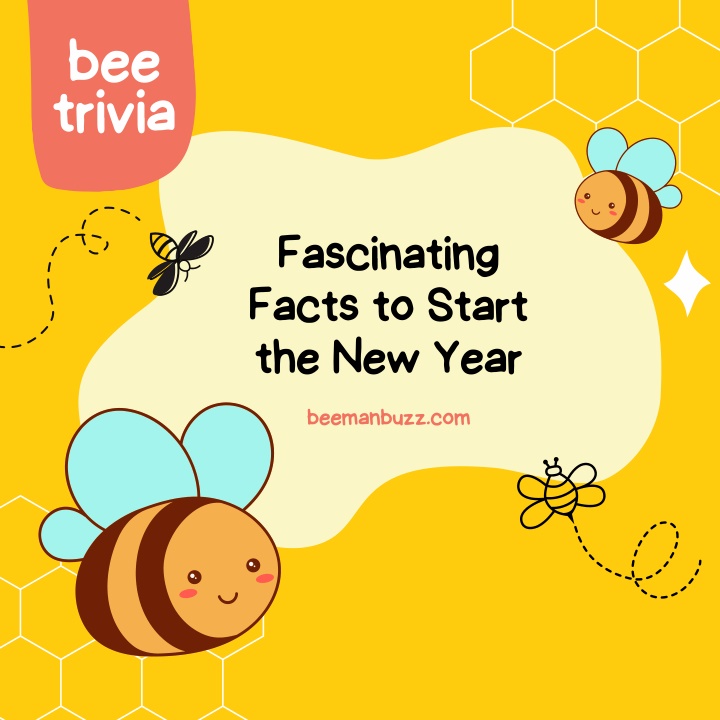 bee trivia