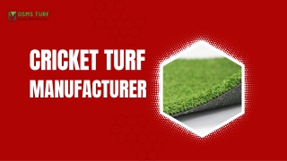 Everything You Need to Know About Cricket Turf Manufacturing