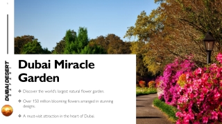 Dubai Miracle Garden: A Blooming Paradise in the Desert