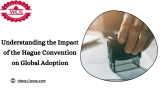 understanding the impact of the hague convention