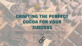 Top Cocoa Producers  Bulk Cocoa Powder  Indonesian Cocoa Powder