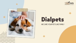 Dialpets - Your Trusted Destination for Dog Essentials