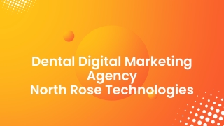 Dental Digital Marketing Agency  North Rose Technologies