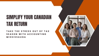 Personal Tax Services by Accounting Mississauga