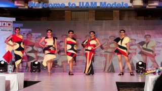 welcome to iiam models