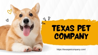 Can Dogs Safely Enjoy Peanut Butter? Essential Guidelines for Pet Owners
