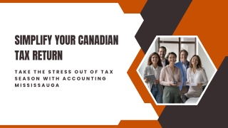 Personal Tax Services by Accounting Mississauga