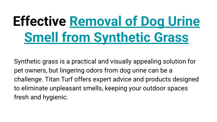 effective removal of dog urine smell from