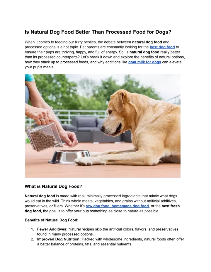 is natural dog food better than processed food