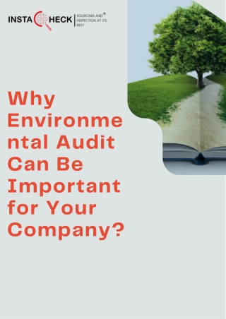 Why Environmental Audit Can Be Important for Your Company?