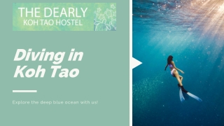 Diving In Koh Tao | Dearly Koh Tao