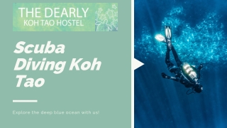 Scuba Diving Koh Tao | Dearly Koh Tao