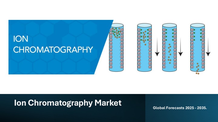 ion chromatography market