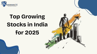 Top Growing Stocks in India for 2025