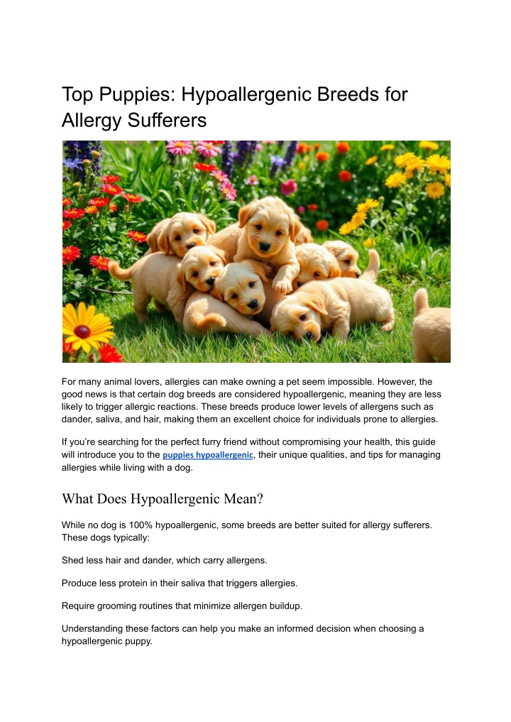 top puppies hypoallergenic breeds for allergy