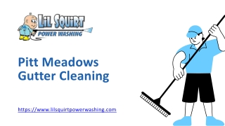 Pitt Meadows Gutter Cleaning - www.lilsquirtpowerwashing.com