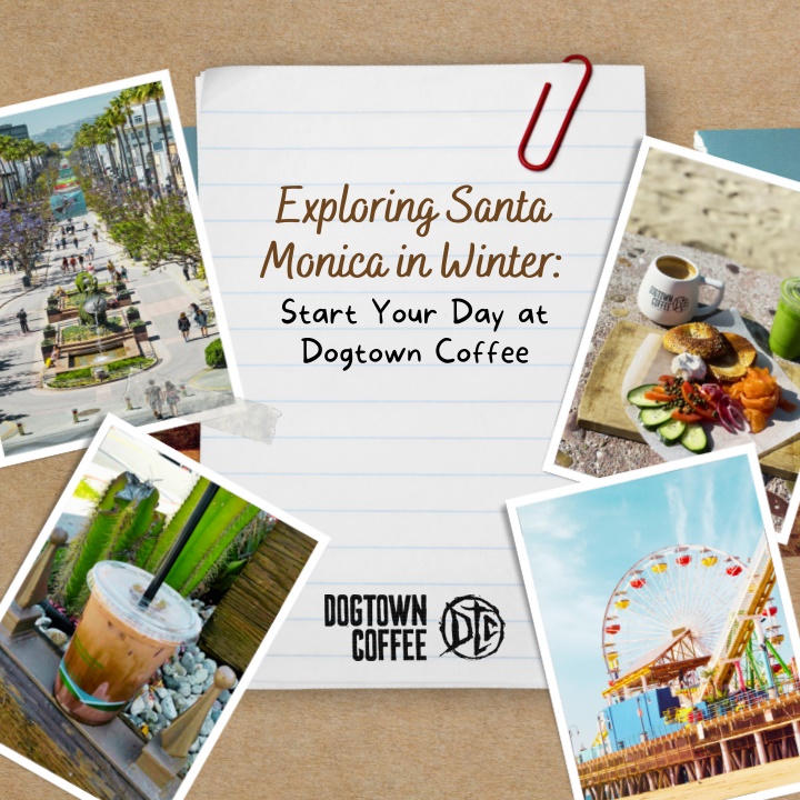 exploring santa monica in winter start your