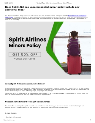 Does Spirit Airlines unaccompanied minor policy include any additional fees?