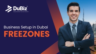 Business Setup in Dubai Freezones