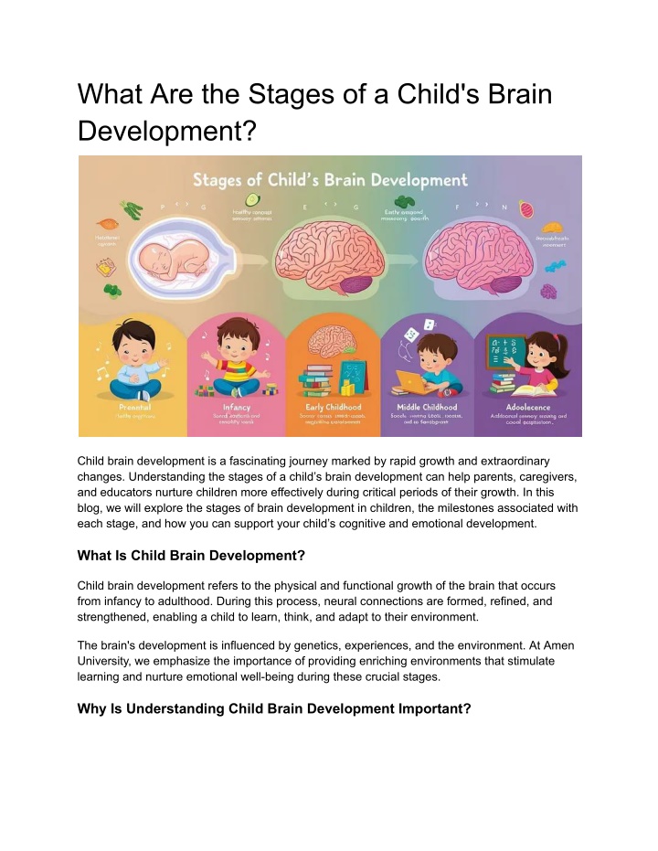 what are the stages of a child s brain development