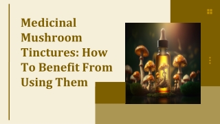 Medicinal Mushroom Tinctures: How To Benefit From Using Them