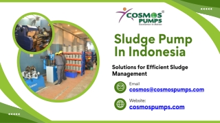 Sludge Pump In Indonesia